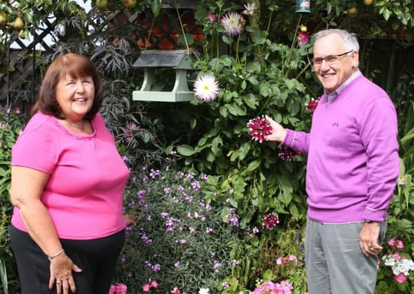 June and Tony Harvey in their award-winning garden.