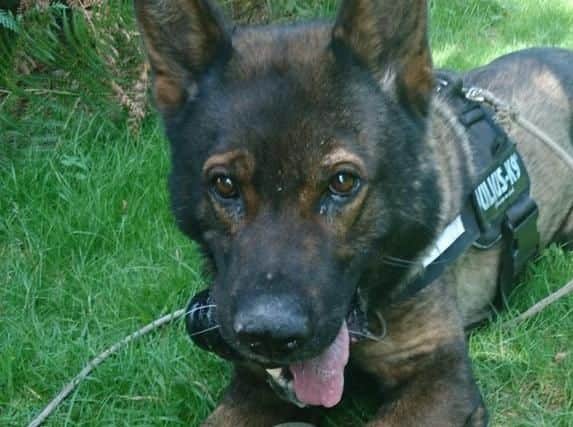 PD Axle is back on the beat.