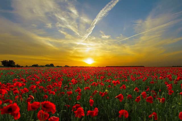 Highs of 22C.