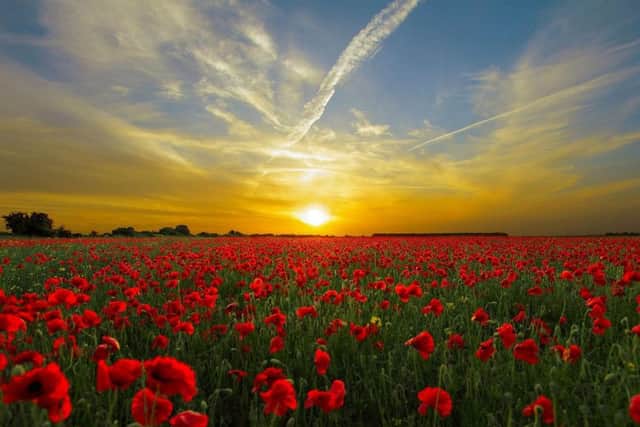 Sunny but chilly day ahead