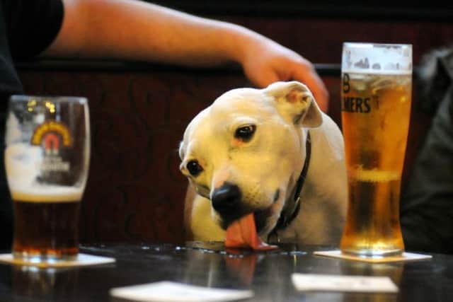 Should dogs be allowed in pubs?