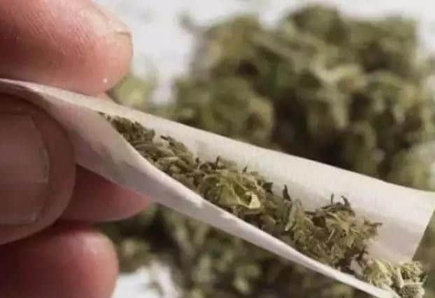 Cannabis