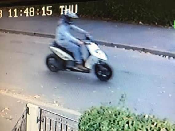 Have you seen this moped?