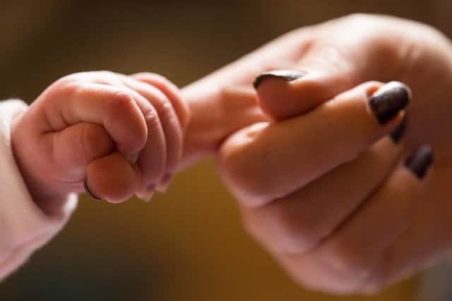A new baby holds the finger of its mother. Photo: PA/Dominic Lipinski