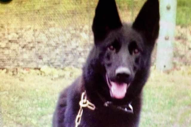 PD Nelson