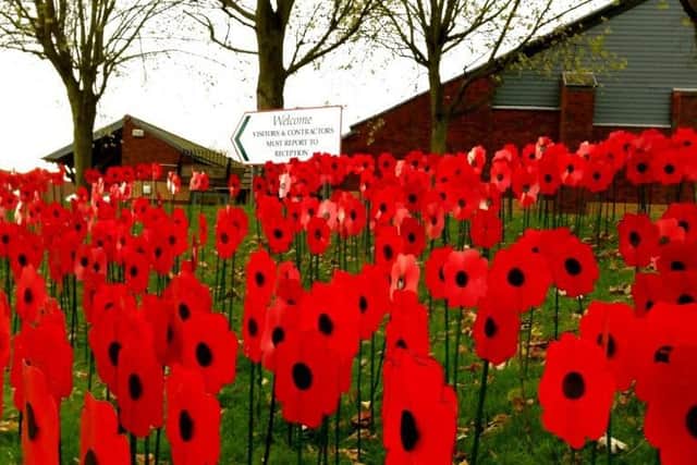 Sea of poppies