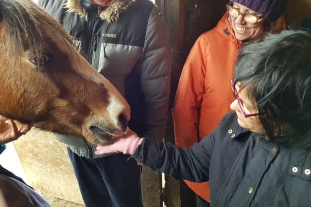 Making friends with a horse as part of the animal therapy sessions for people from Mansfield.