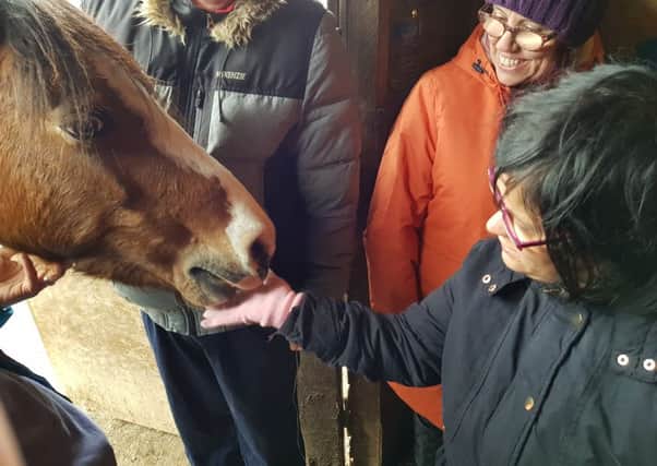 Making friends with a horse as part of the animal therapy sessions for people from Mansfield.