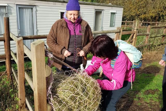 Hands-on work at the Hagg Farm outdoor educational centre.