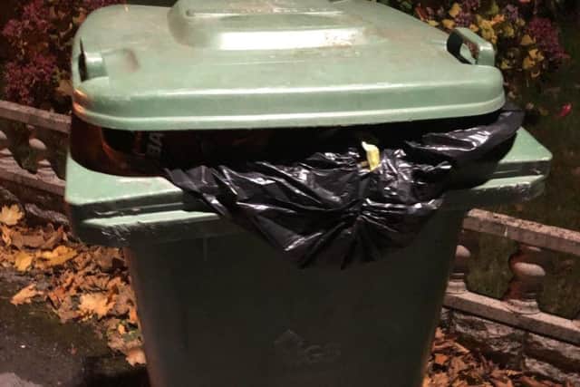 Mr Willows green bin, which binmen refused to collect as the lid was open.
