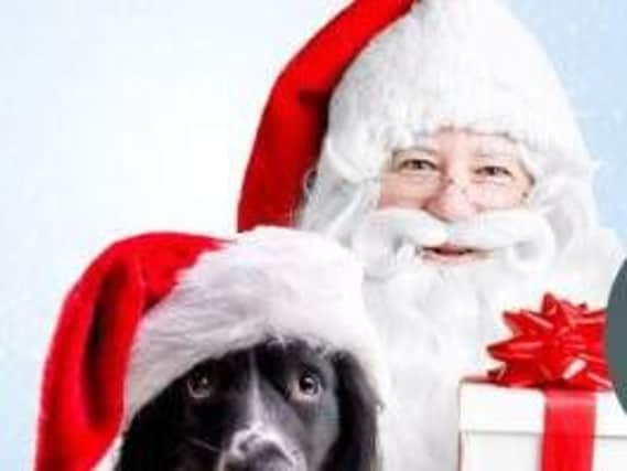 Take your dog to see 'Santa Paws' at Rufford Abbey Country Park