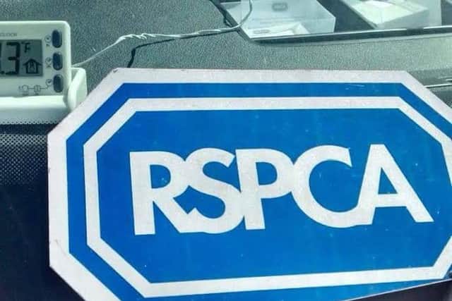 The RSPCA needs more volunteers for 2019