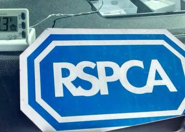 The RSPCA needs more volunteers for 2019