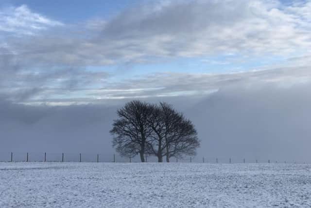 Winter wonderland: John Feather sent in this superb picture of Blackshaw Head, snapped on a frosty morning.
