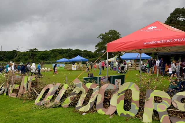 The Gloworm Festival