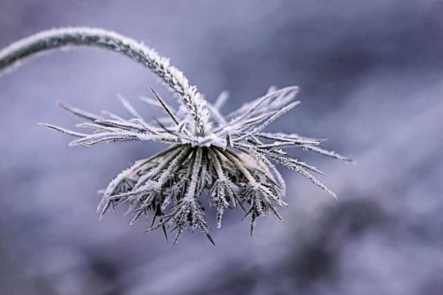 There could be frost in some areas of the region.