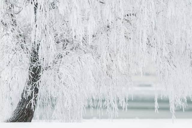 A stock picture of a wintry scene.