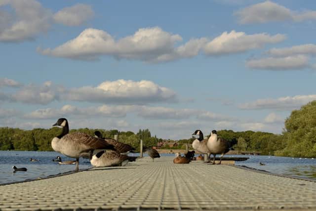 KingÃ¢Â¬"s Mill Reservoir, Mansfield