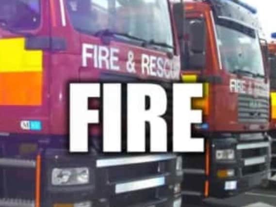 Firefighters have tackled a fire in Shirebrook where trees were "well alight".