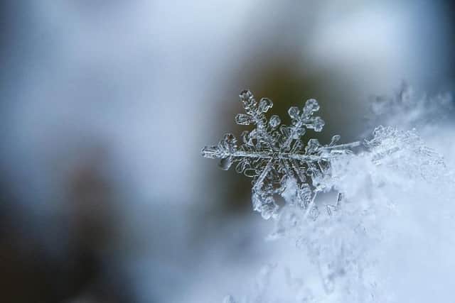Whatever the weather, have a good day.
