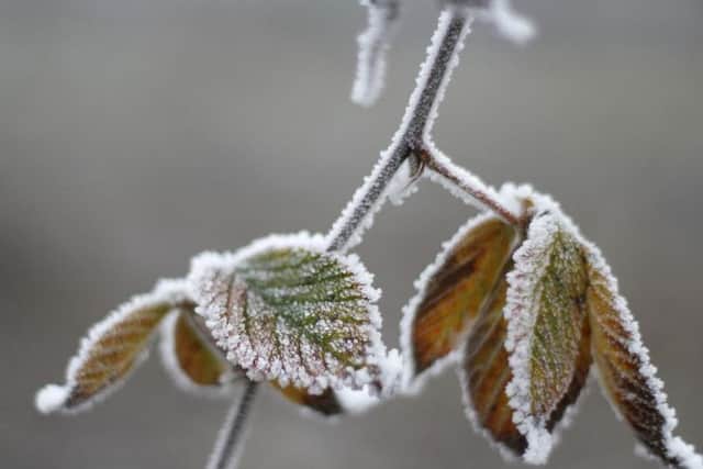 Whatever the weather, have a good day.