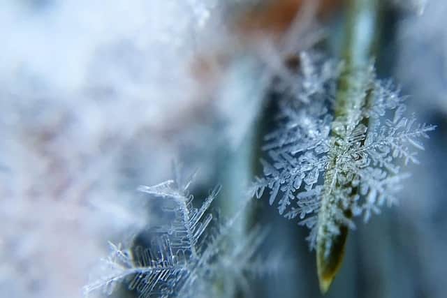 The country is currently in the grip of a big freeze.