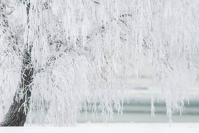 Brrrrr, it's so cold out there.