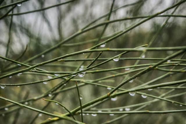 Whatever the weather, have a good day.