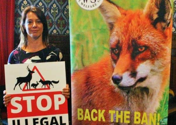 Gloria De Piero says custodial sentences could be used to deter illegal hunting