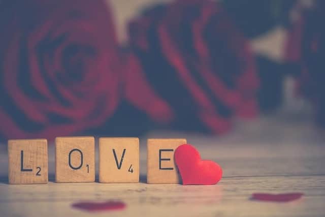 Valentine's guide