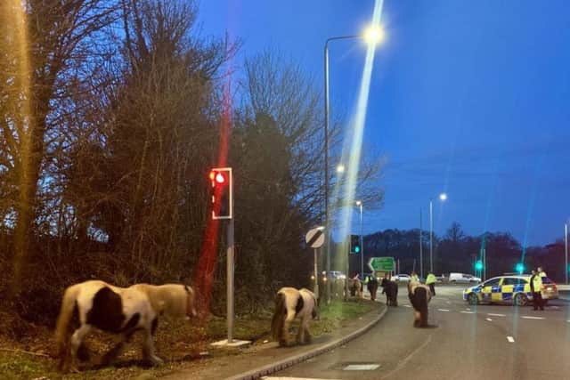 Picture by @NottsPoliceARV on Twitter.