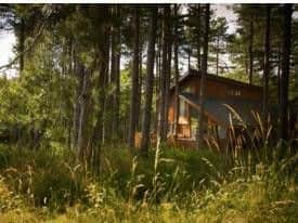 Free Sherwood Forest stays are being offered to 52 struggling families across the country.