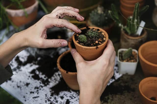 Thirty minutes of pottering in the garden can burn around 200 calories, which is same as cycling steadily for four miles.