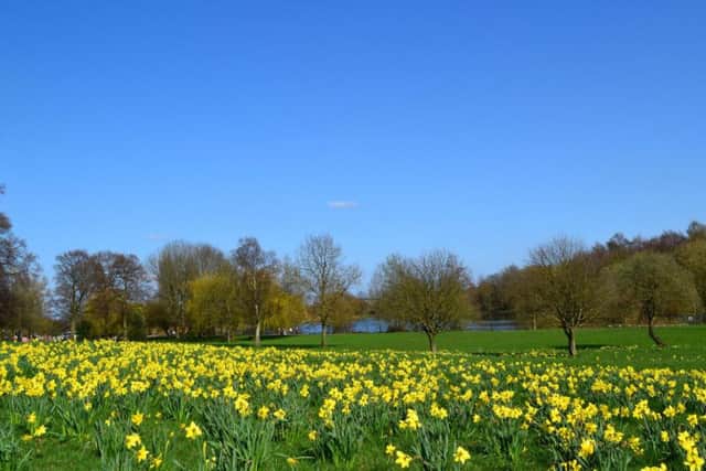 Sutton Lawn