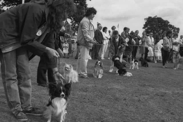 1989: Dogs line up at the Mansfield Show but what for, do you know? Is it perhaps an obedience class or an agility test?