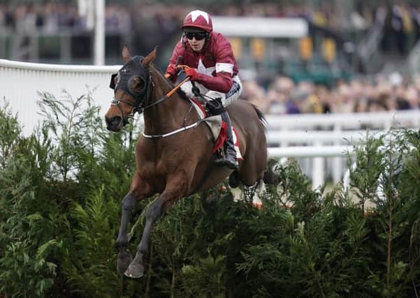Loveable legend Tiger Roll on his way to an easy win at last month's Cheltenham Festival. (PHOTO BY: Alan Crowhurst/Getty Images)