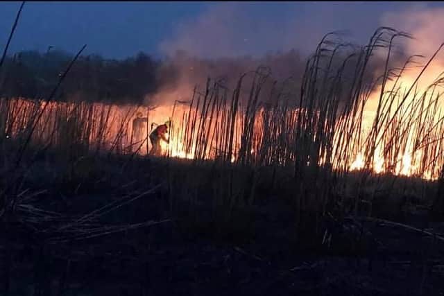 The fire on Rookery Park.