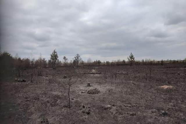 The devastation after the fire on Vicar Water.