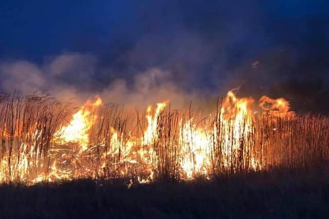 The fire on Rookery Park.