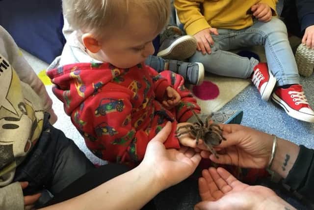Children at Cherubs day nursery in Ladybrook enjoy a visit from animals at The Mobile Mini Zoo.