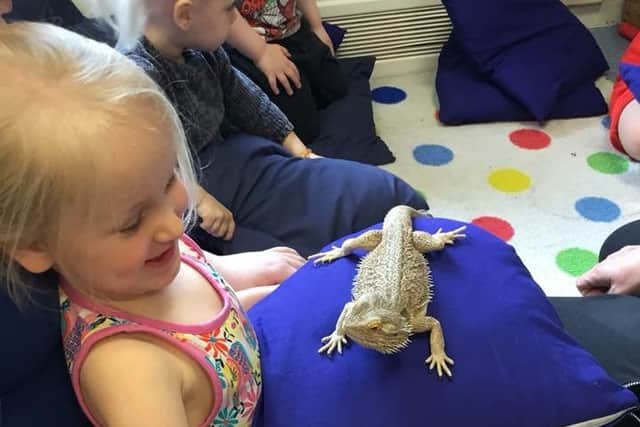 Children at Cherubs day nursery in Ladybrook enjoy a visit from animals at The Mobile Mini Zoo.