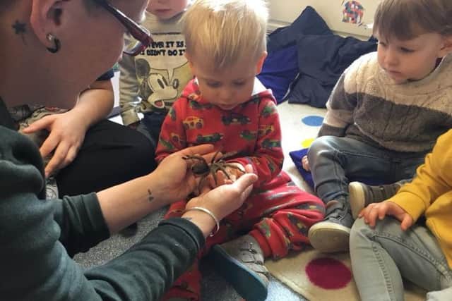 Children at Cherubs day nursery in Ladybrook enjoy a visit from animals at The Mobile Mini Zoo.