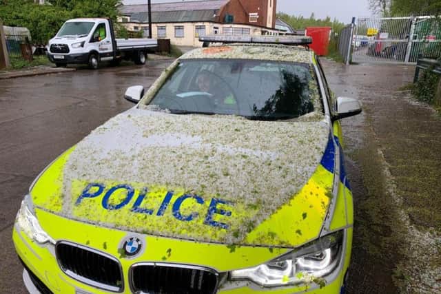 "Meanwhile PC Terry had his own plant matter issues."