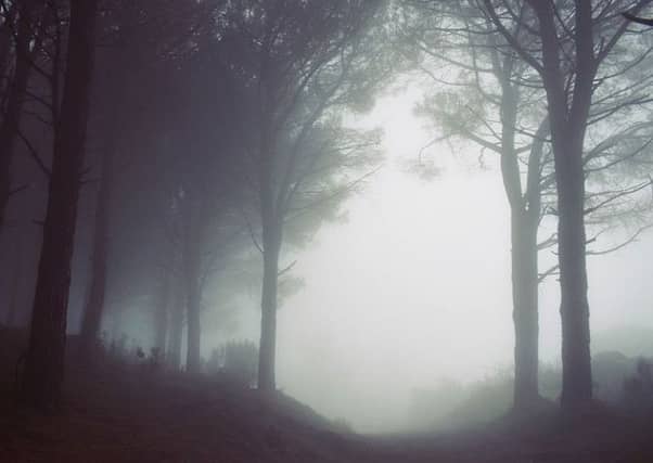 A foggy start.