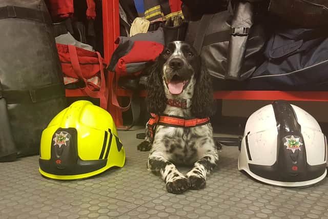 Dexter the East Midlands fire dog also paid his respects.