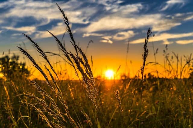 Temperatures will reach highs of19C.