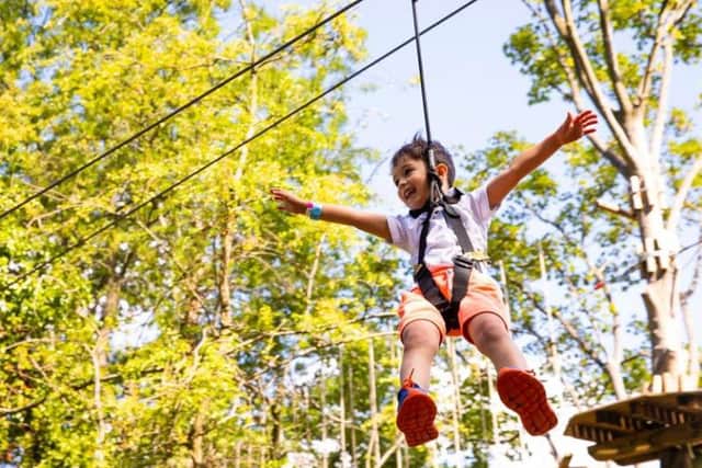 Enjoy zip wires, freefall swings and netted walkways full of inflatable balls and slides at Go Ape Sherwood Forest.