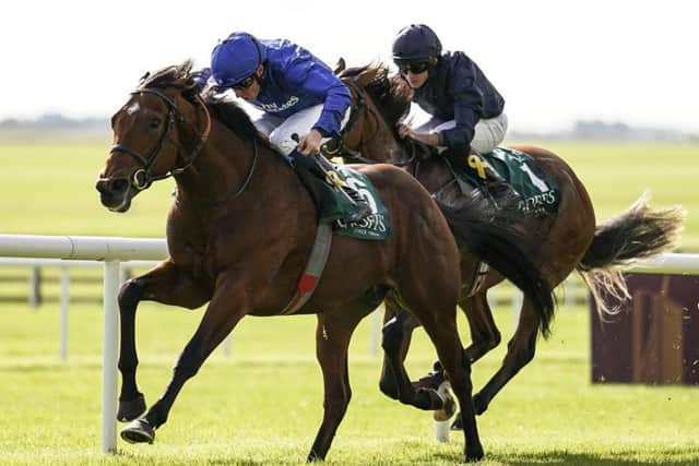Anthony Van Dyck, seen here chasing home Quorto in a big 2yo race last season, is our expert's fancy for Saturday's Investec Derby. (PHOTO BY: Alan Crowhurst/Getty Images).