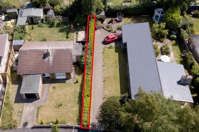 The home of Julie Wayte (left), and the home of Lara Acutt (right) with the hedge (centre).