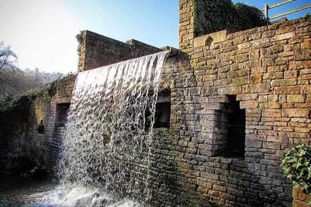 This beautiful picture of Newstead Abbey's waterfall was taken by Instagram user @ayup_me_duck